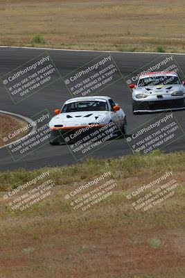 media/May-04-2024-Lucky Dog Racing (Sat) [[d39539b3f3]]/Race Pics/1015am (Turn 2)/